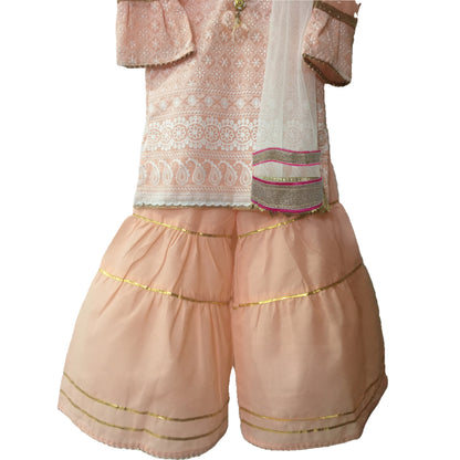 Babynjungle 100% Cotton Ethnic Partywear Sharara kurta Set for girls